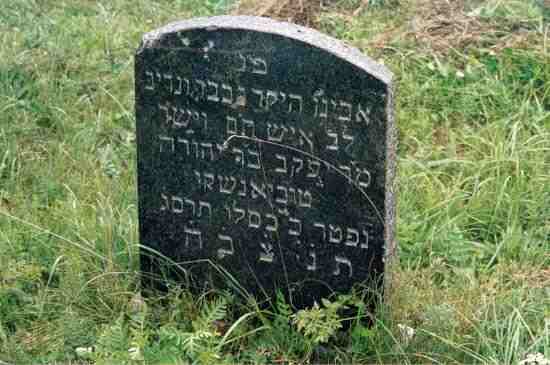 Kretinga - Jewish Cemetery 23
